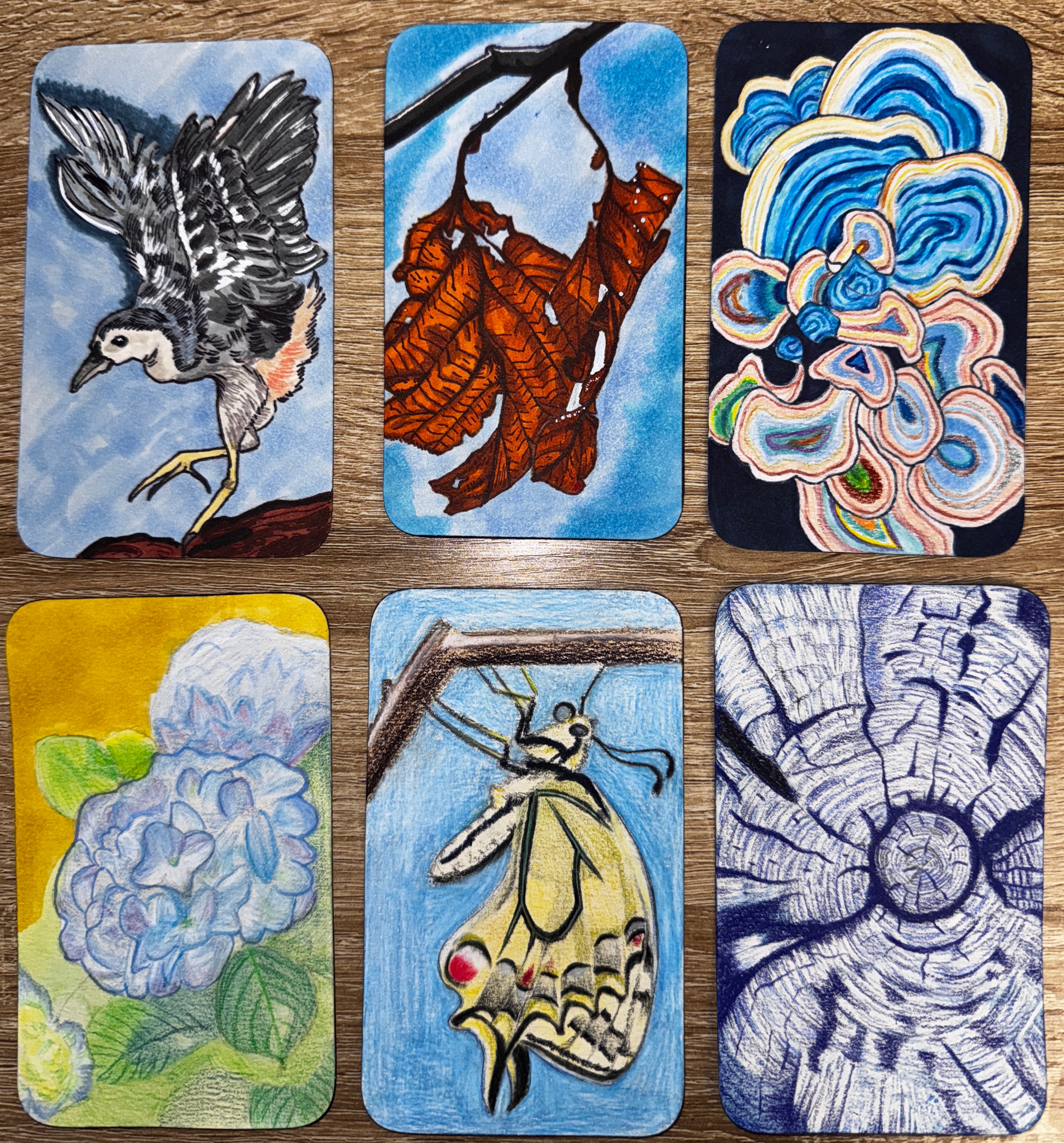 Nature Card (Front)
