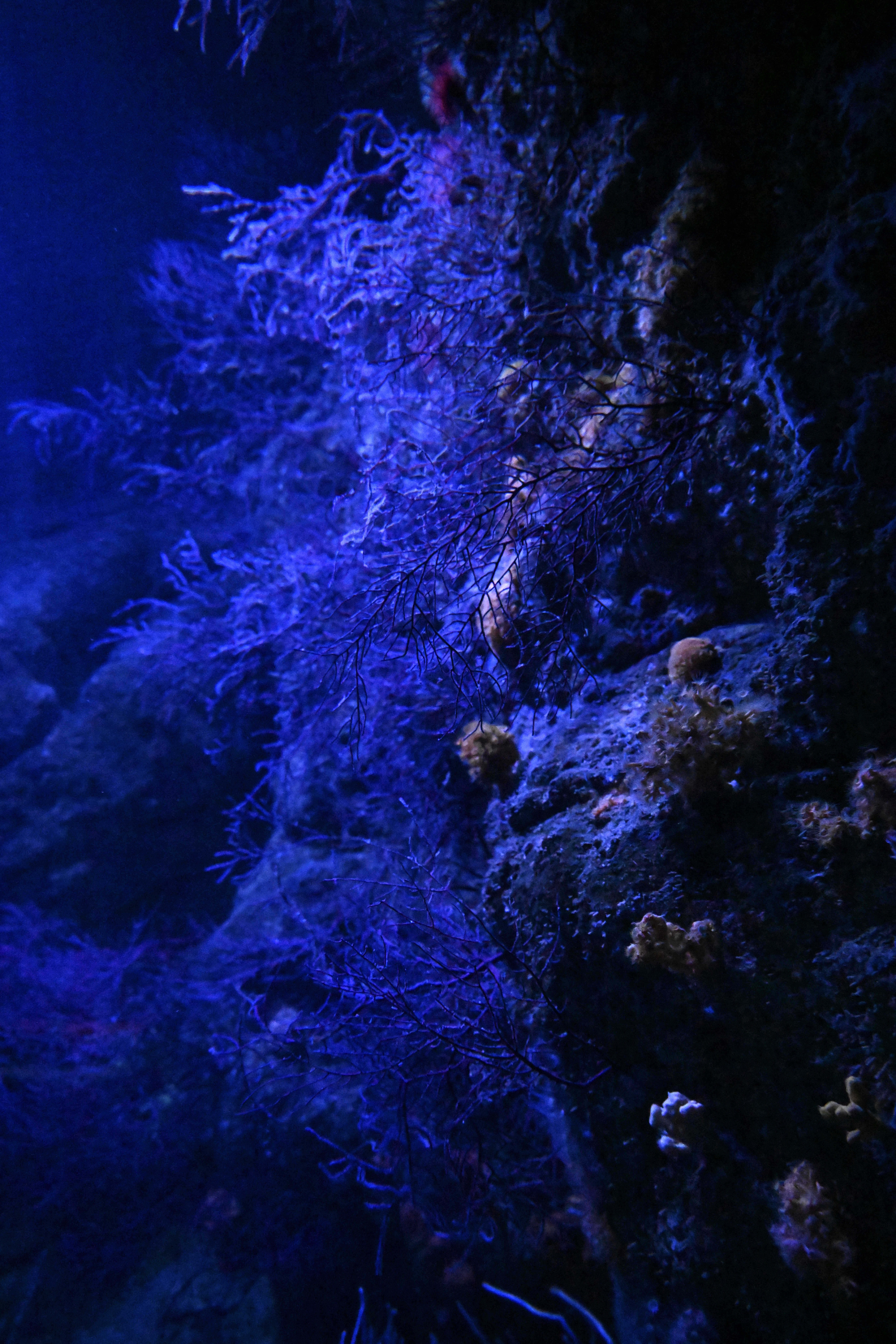 Azure
