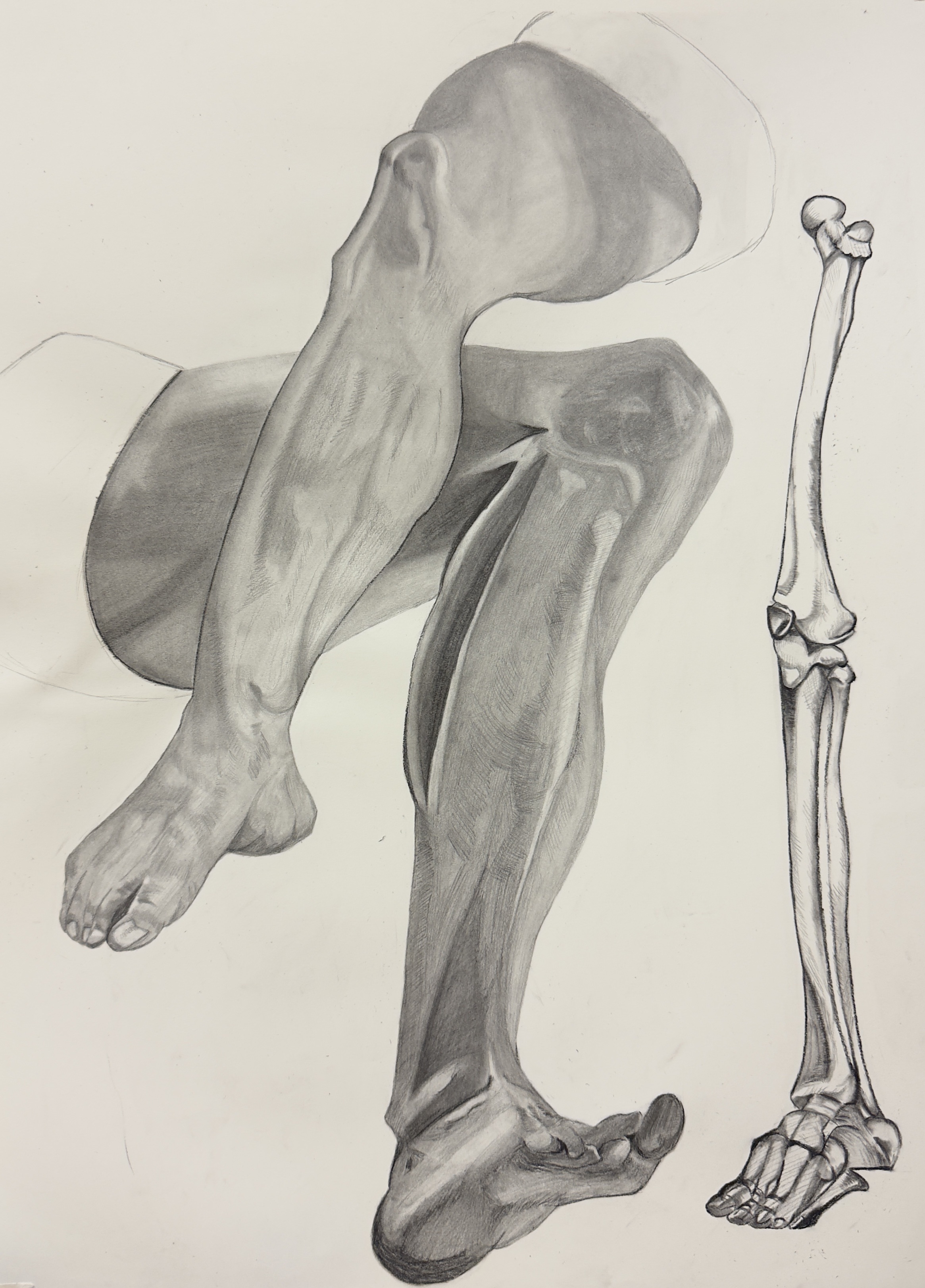 Leg Exercise